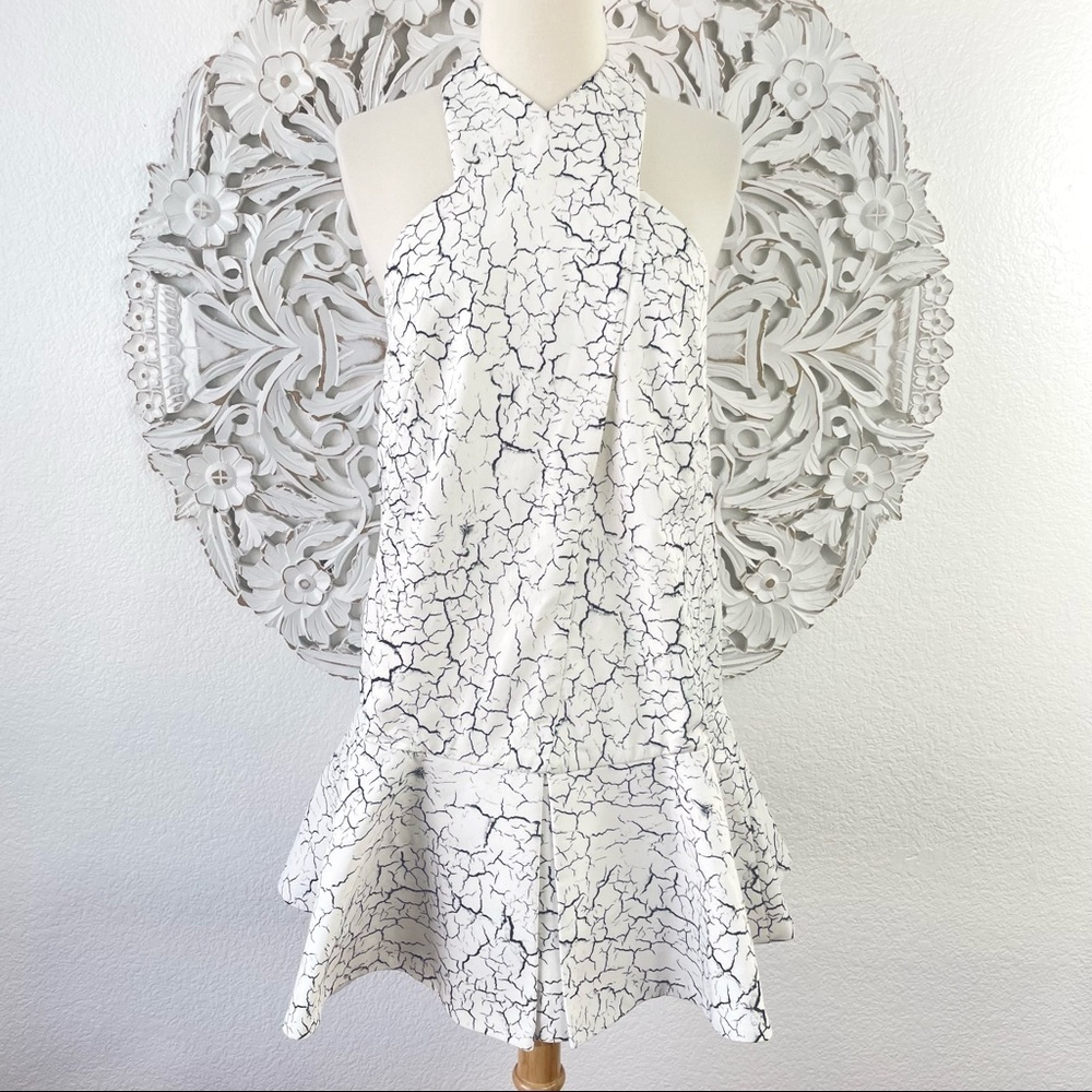 {Cameo} Anthropologie All My Days Dress, Cracked Paint, Size L, NWT